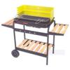 BARBECUE/GIRARROSTO GRILL.IDEA 35-60