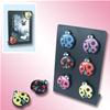 MAGNETE SOUVENIR COCCINELLA